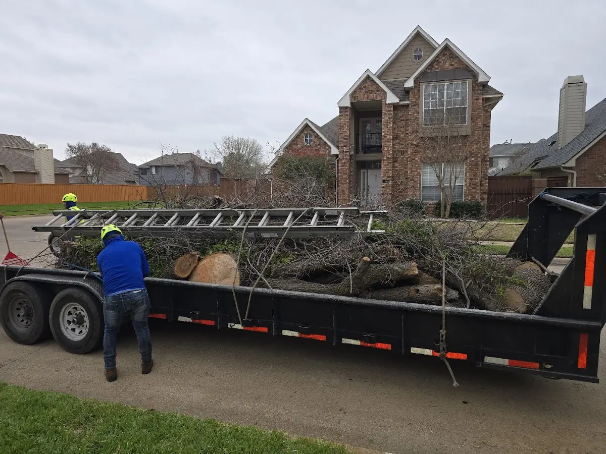 Expert Lot Clearing with proper safety equipment in Mc Kinnon